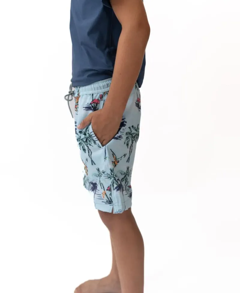 Kids Golden Breed Kids-Flamingos Elastic Boys Boardie |